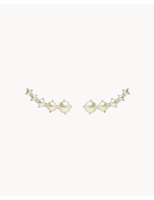 Pendientes  trepadores...