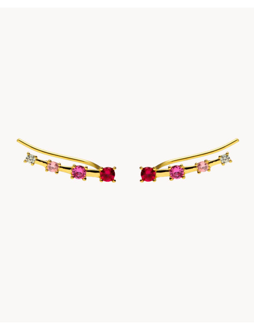 Pendientes trepadores...