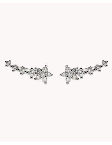 Pendientes  trepadores de...