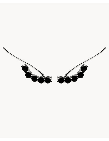 Pendientes  trepadores...