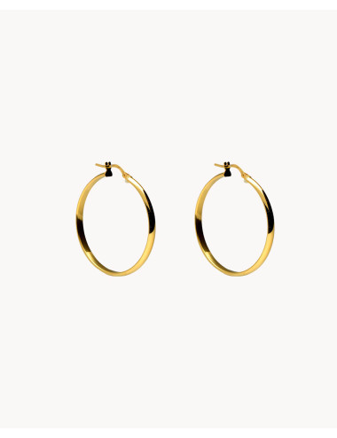 Pendientes de aro  lía 10mm...