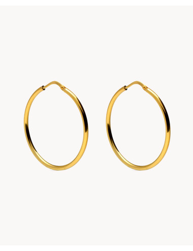 Pendientes de aro  lucía...